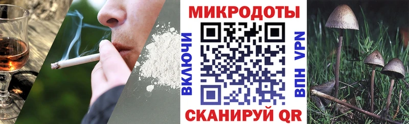 купить   Духовщина  Псилоцибиновые грибы мухоморы 