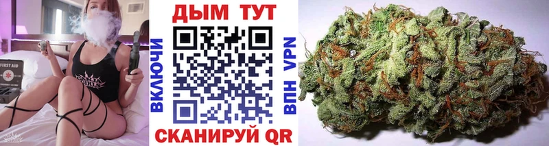 Бошки Шишки планчик  Духовщина 